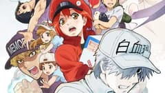 انمي Hataraku Saibou!! الحلقة 4 مترجم