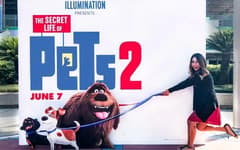 شاهد فيلم The Secret Life of Pets 2