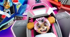 باو باترول: طائرة للإنقاذ Paw Patrol